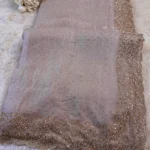 Swarovski Embroidered Saree with Heavy Scalloped Border