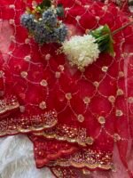 Designer Net Saree with Sequin Floral Jaal Work - Image 6